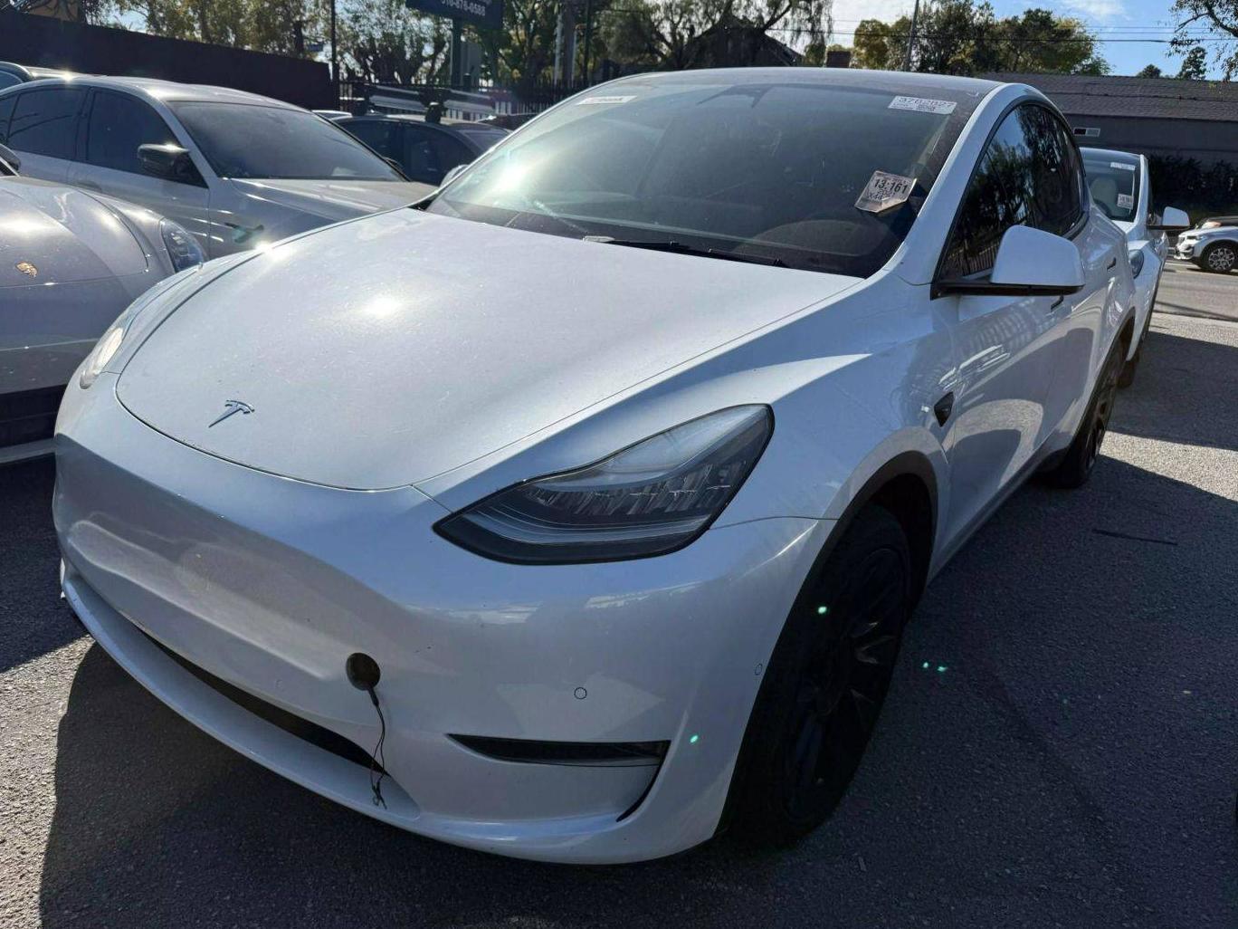 TESLA MODEL Y 2021 5YJYGDEE0MF160817 image